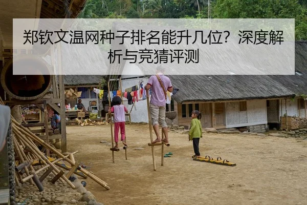 郑钦文温网种子排名能升几位？深度解析与竞猜评测